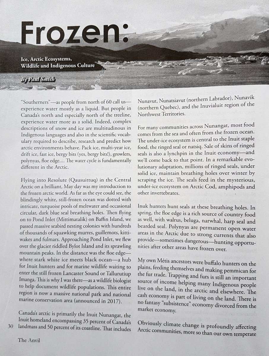 Otipemisiwak's tweet photo. My article "Frozen: Ice, Arctic Ecosystems, Wildlife and Indigenous Culture" in the @HamiltonAnvil issue on Water with @wwaterwatchers #Inuit #iceislife #eatseal #wearseal https://t.co/uRIGgGKxFE
