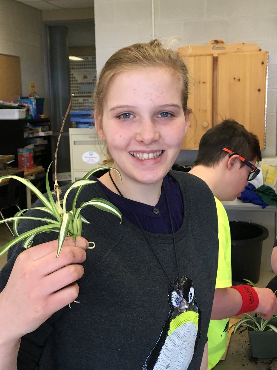 jules_yates3's tweet image. Our Life Skills class looks like a greenhouse - beautiful! It was fun planting today! Excellent teamwork! @infobml #thelakerway #BMLSSlearns