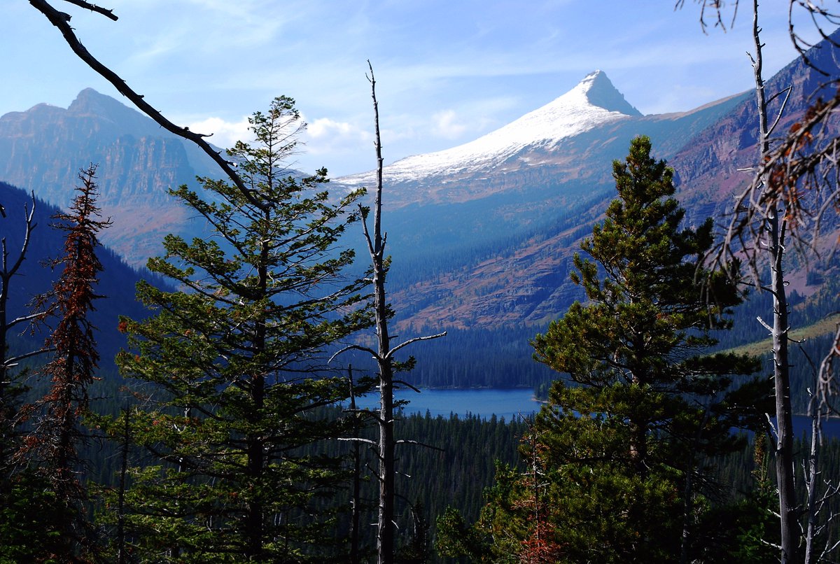 Sky Eco - Glacier General Store & Cabins tweet media