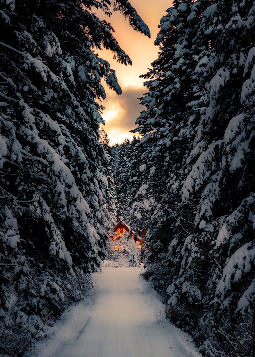 FoothillsMag's tweet photo. Check out these amazing photographs of this year's Foothills Photo Contest! Lots of beautiful images that showcased these photographers' various talents! https://t.co/PWjOKtuVde https://t.co/AZPLkyCLoH