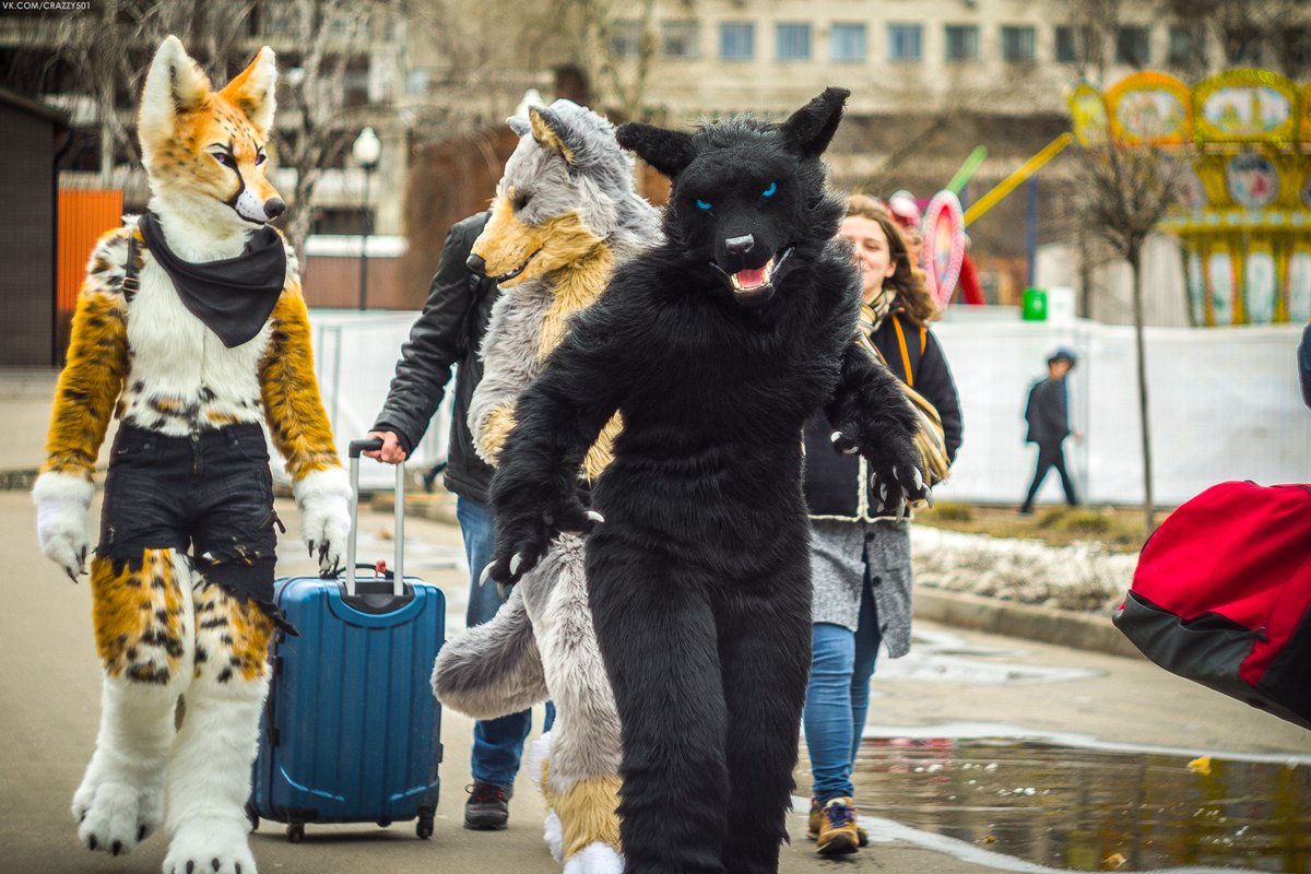 IrruanWorkshop's tweet photo. Fursuit walk! Melissa, Veran and Silver!
.
.
.
#irruanworkshop #fursuitwalk #fursuiting #furry #фурсьют https://t.co/8OcP2ZhCqh