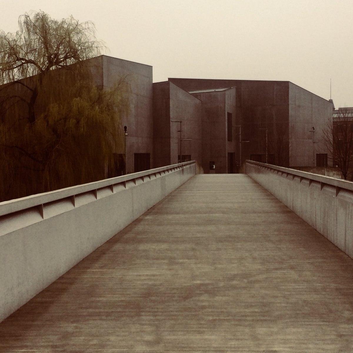 Ian Coldicott tweet media