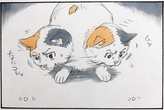 『レーザーポインター』 