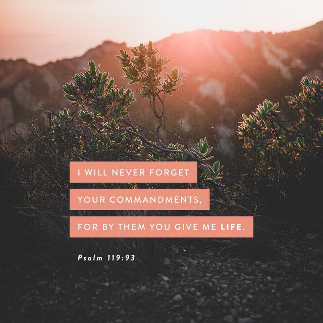 Underground_SM's tweet photo. Verse of the day. https://t.co/GjH49AmeSt