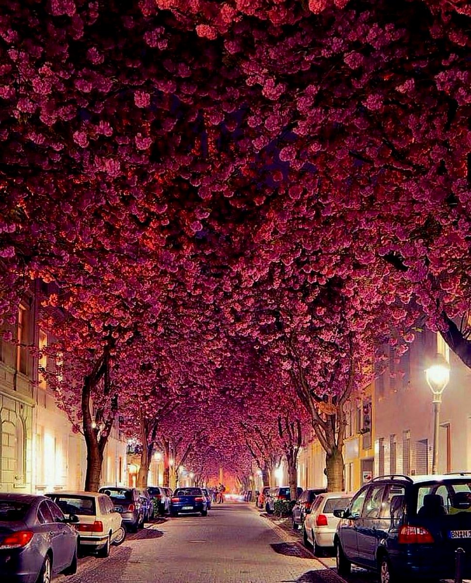 I love Nature tweet media