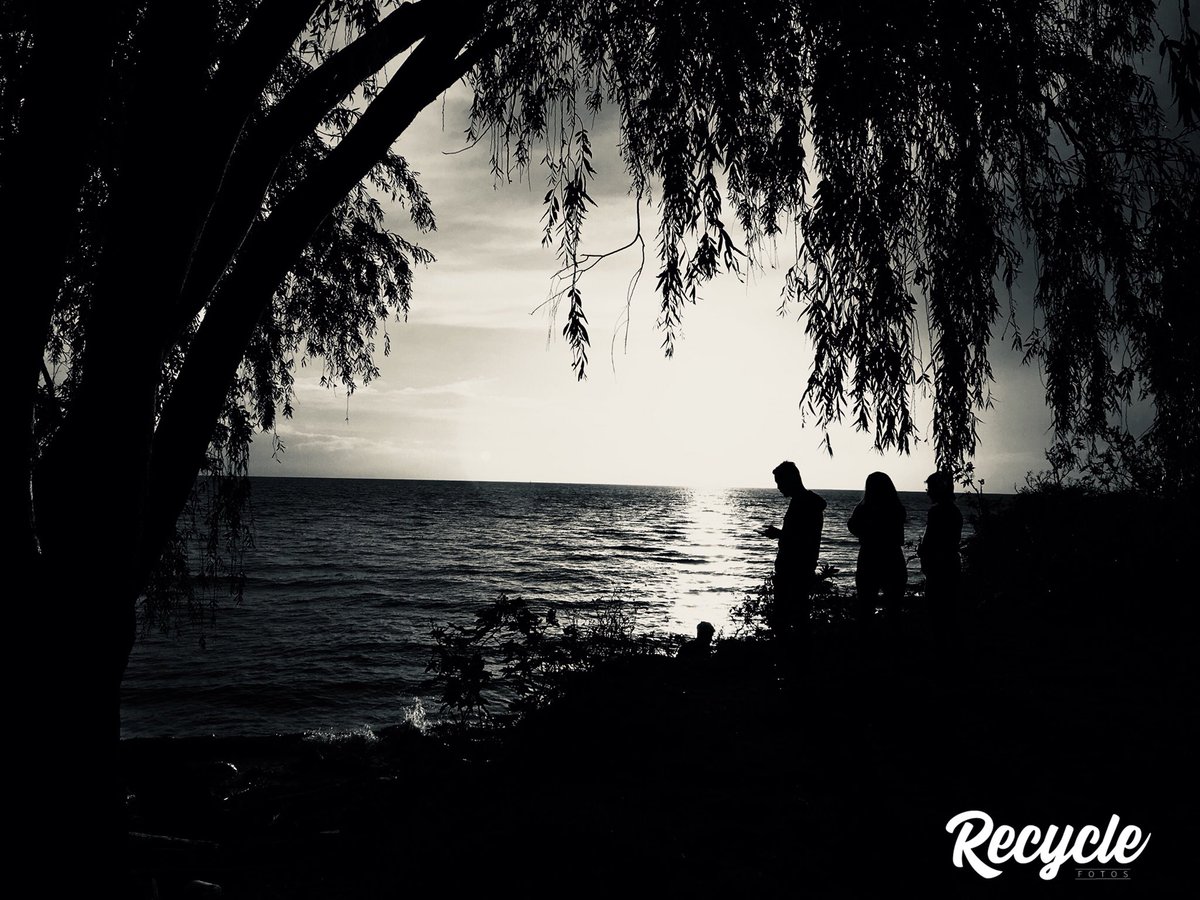 nenerdoh's tweet photo. Amanece en la playa 📷♻️📍#capturabnw #monochrome #photoflair_bw #bnwdemand #bnw_globe #bnw_magazine #bnw_diamond #bnw_legit #bnwphotography #bnw_one #bnw_workers #bnw #bnw_creatives #bnw_just #top_bnw_photo #photo #fotografia #blackandwhitephotography #byn #retoblancoynegro https://t.co/a6Kf7vNcaB