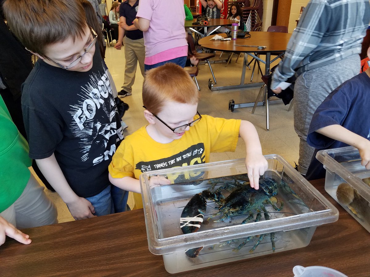 VCAssociation's tweet image. Thanks to @AqNiagara for bringing some sea creatures out to visit our "Striving For Excellence" families tonight!