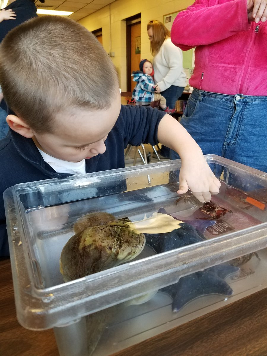 VCAssociation's tweet image. Thanks to @AqNiagara for bringing some sea creatures out to visit our "Striving For Excellence" families tonight!