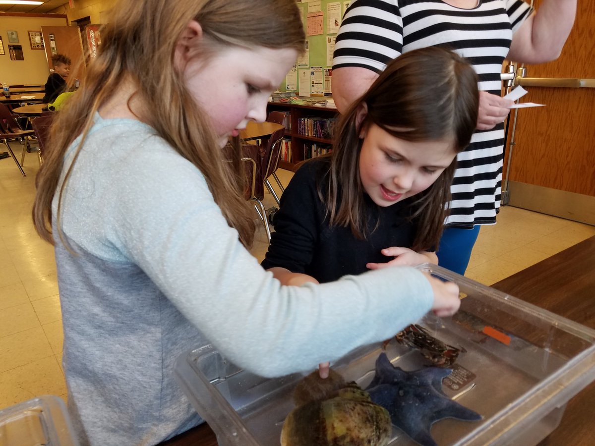 VCAssociation's tweet image. Thanks to @AqNiagara for bringing some sea creatures out to visit our "Striving For Excellence" families tonight!