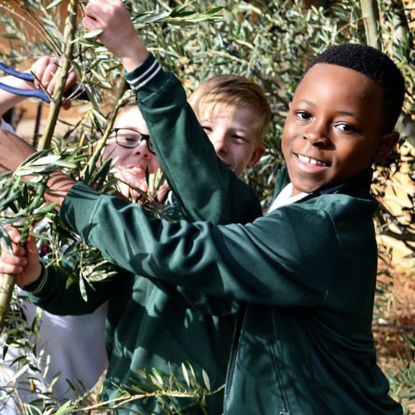 NatEduSummit's tweet photo. Kids do better in nature! This week is Nature Play Week. Find out about a school-based nature program like @SAKGF by visiting the Education Show at the @NatEduSummit. Register now - it's Free! https://t.co/xXhv2Bm43B #NESEvents #educationshowau #sakgf #natureplayweek https://t.co/nIm5GL8zeZ