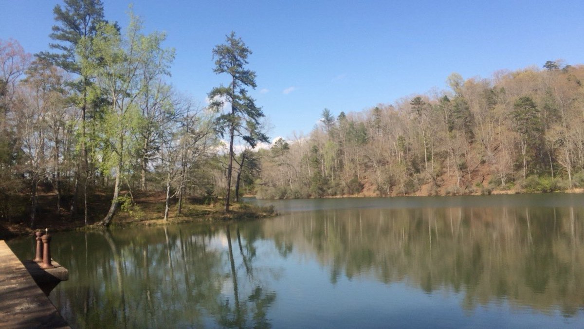 _aemoore's tweet photo. Spring has sprung in @ClemsonUniv ‘s  #ExperimentalForest and it’s looking beautiful. #TrailblazeChallenge #MakeAWishSC https://t.co/hY8gYgjdXk