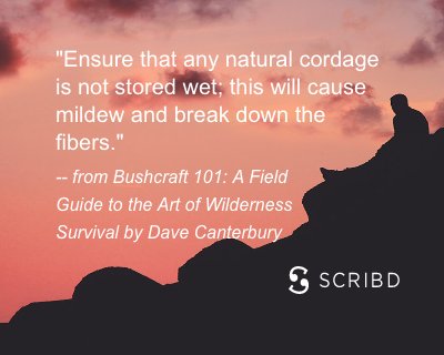 escourrou's tweet photo. Loved this quote I read on Scribd! #ScribdQuote https://t.co/djIkCFEaJ4