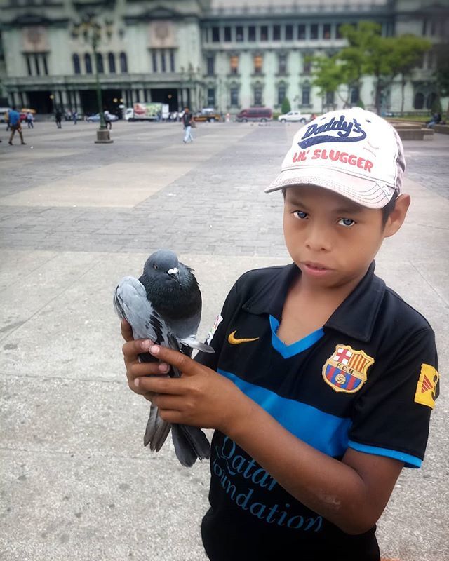 Juanito se dedica vendiendo maisillo para alimentar a las palomas, pero se divierte con su palomita llamada Sofía
#portrait #portraitphotography #childrenphoto #childrenportraits #guatemala #Guatemalacity #Photography #perfect #city #cityphotography #str… ift.tt/2GQ4B29