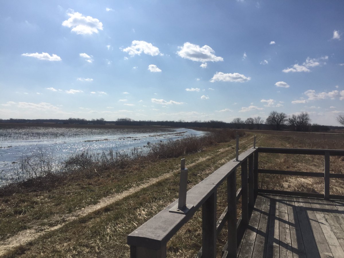 amy_amysayre's tweet photo. Picture taken at the Montezuma Wildlife Refuge checkout our website for more awesome wetland information: https://t.co/3KTZqOOLVl https://t.co/5ry6Gn2uVD