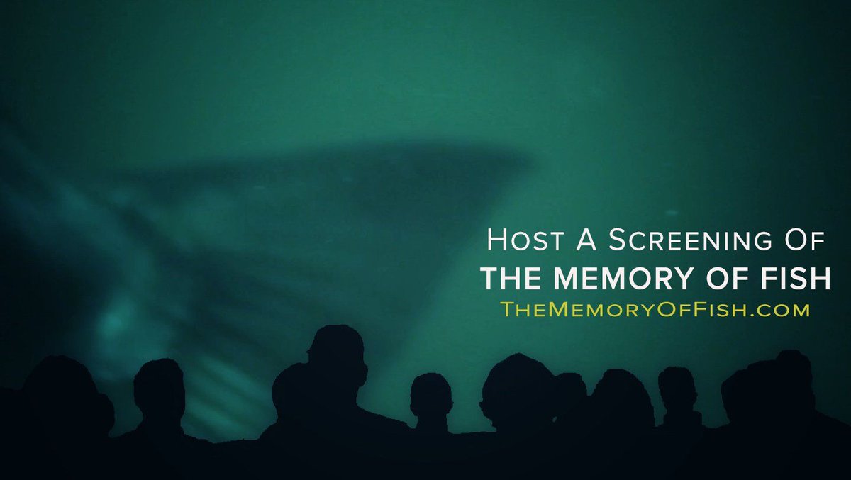 teamsmarthouse's tweet photo. AWESOME NEWS from #TeamSmarthouse client @galvin_jen: you can now host a screening of #TheMemoryofFish! Show this engaging #documentary as a springboard for discussion, inspiration, and action.
Learn more: https://t.co/4AUfKPc7Z9
#SupportIndieFilm https://t.co/5qPzmWPxx2