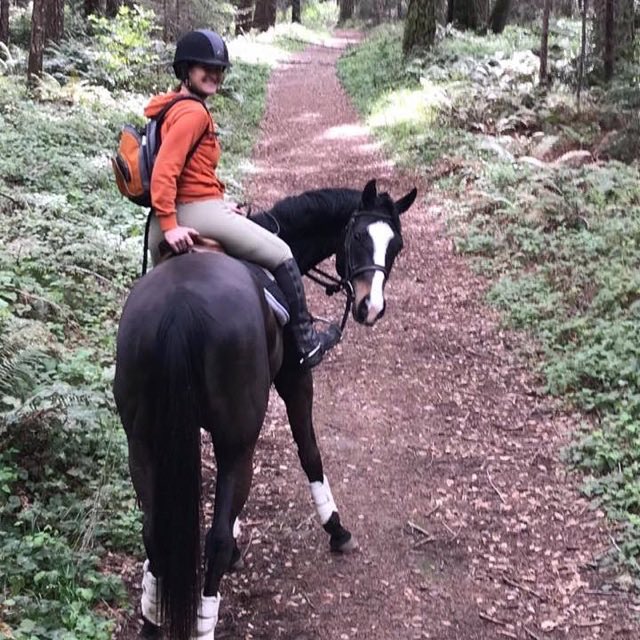 wemracing's tweet photo. Former trainee Tom’s Golden Girl, now known as Gigi, hits the trails. Gigi was placed through @Canterca trainer listings and also competes as a hunter/jumper #wemgrad https://t.co/P224wtYb8e