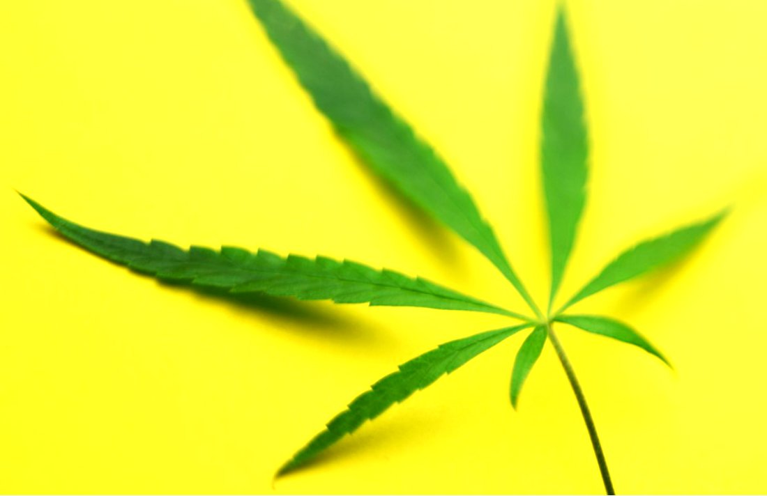 CannabisCulture's tweet image. Marijuana is the Fastest-Growing Job Category, Top Recruiting CEO Says #Jobs #industry #Business tinyurl.com/yauutv9o