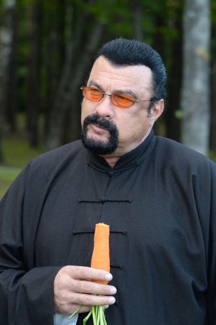 Happy Birthday Steven Seagal 