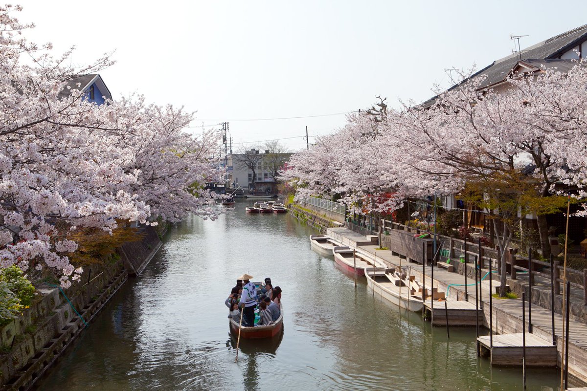봄바람 부는 시기엔
벚꽃놀이
뱃놀이