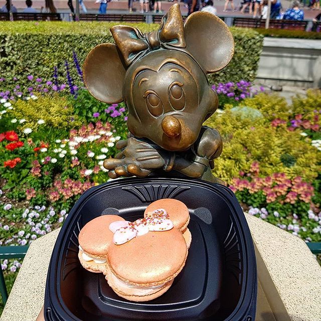 monicazyoung's tweet photo. For all of you asking for a closer view of the #rosegoldmacaron here it is. #minniemouse #rosegold #disneyeats #disneylandfood_ #disneylandfood #foodsofdisneyland #foodsofdisney #eatdisneyland #disneyfood #diningindisney #abc7eyewitness #disneyland #… https://t.co/0CQOYLKvl6 https://t.co/2eW07o5lnn