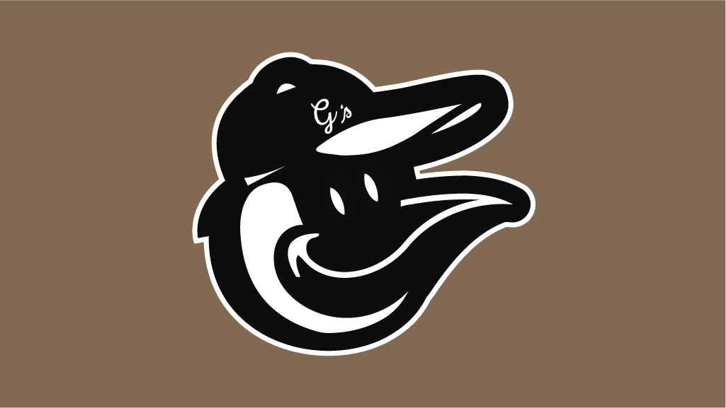 Canada goose // Branta canadensis