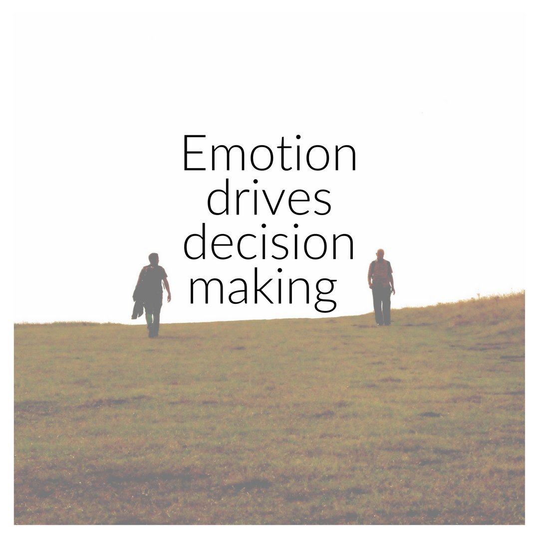 VirtualInsight_'s tweet photo. It's time we stop TELLING our story + we start SHOWING it. Emotion, belief, passion, pride - hard to type, easy to show with real-farmer voice overs, 360° video. Full immersion in our enviro by scanning a code before diving head first onto a ridge of high country station https://t.co/pyKEATE8p4