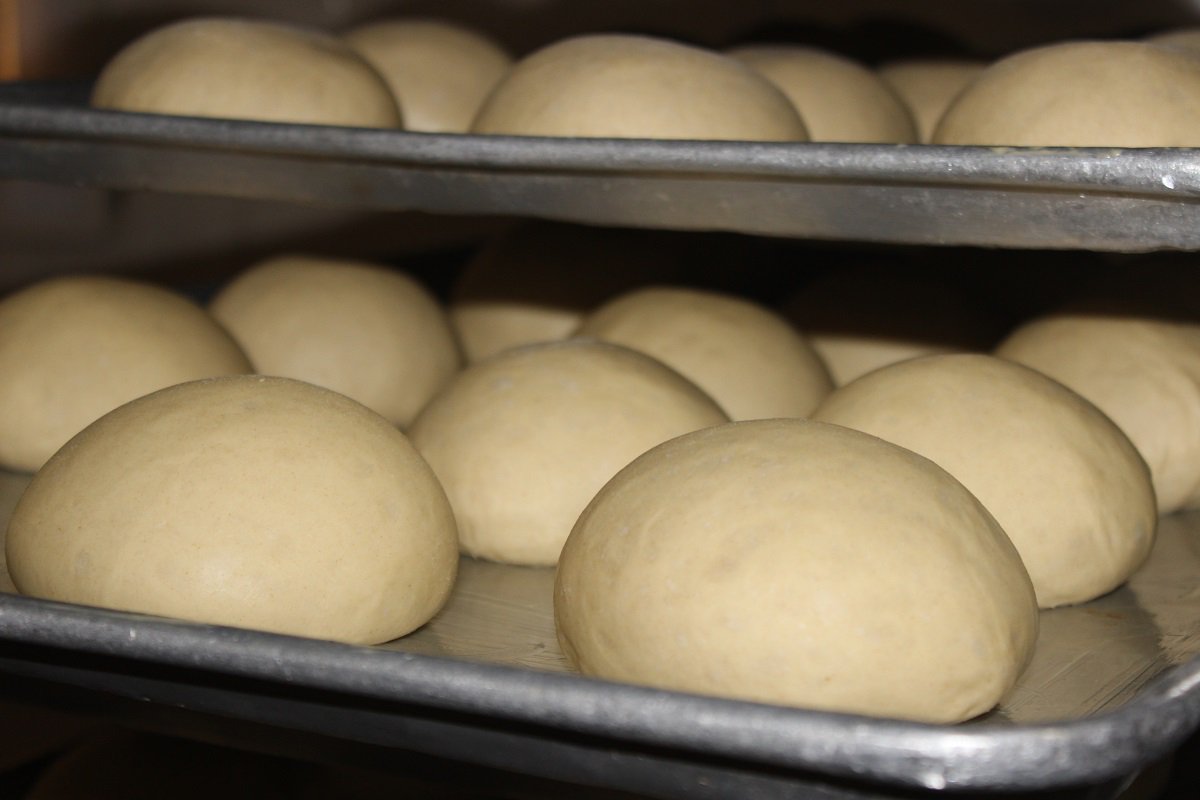 NutsAboutCakes's tweet photo. Burger bread in the making
#burgers
#bread
#burgerbread
#foodphotography
#nutsaboutcakes
#availableinstore https://t.co/gRxgKoN91p