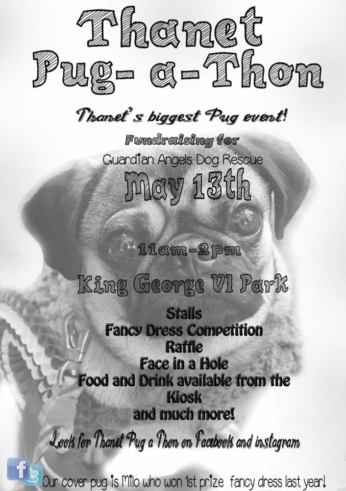 thanetpugathon's tweet photo. #thanetpugathon 2018. Looking for #Thanet #stallholders#fundraiser #pugs #kent #margate #ramsgate #broadstairs #birchington #westgate https://t.co/8wRKFiEpUN