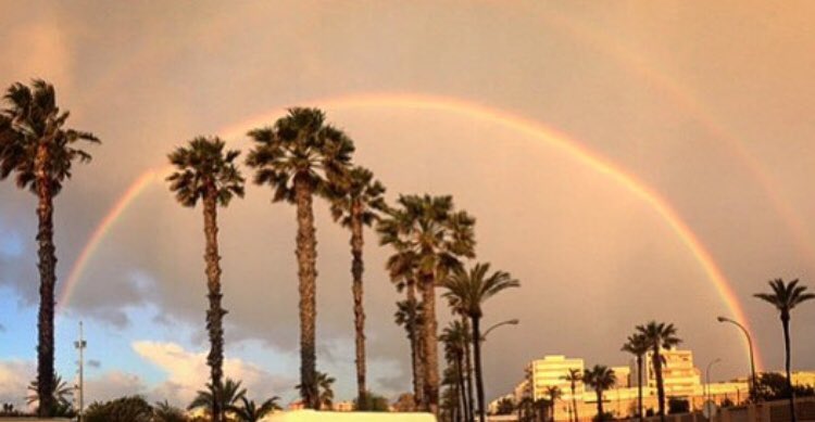 yoli_guerra's tweet photo. Soporta la lluvia,solo así saldrá el arcoiris #onsearch #amaneceress https://t.co/l2aH4iNebQ https://t.co/EBPlvAV61S