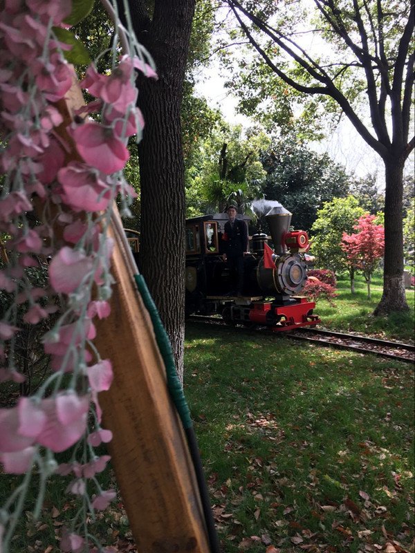 RFidLocks's tweet image. Small train