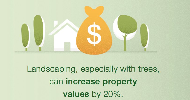 FAOForestry's tweet photo. Landscaping, especially with trees, can increase property values by 20% https://t.co/WU7QFWuwS1 #urbanforests https://t.co/Eu7U61g5GS