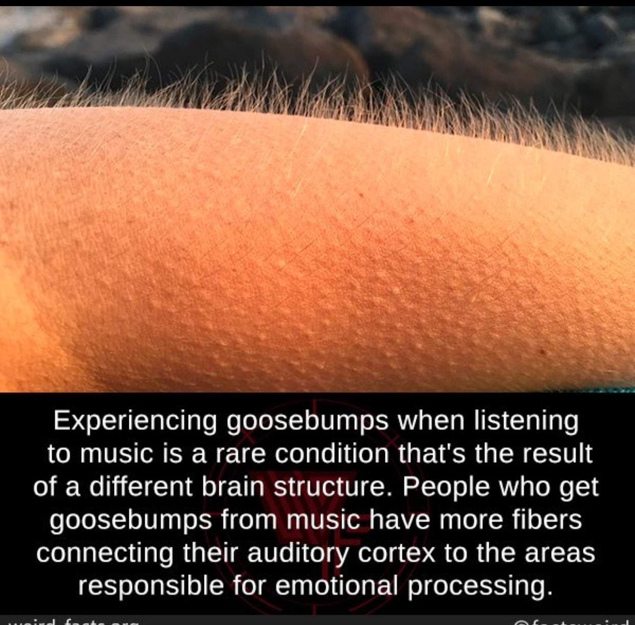 Janet Horvath on X: &ldquo;Did you know: experiencing #Goosebumps when 