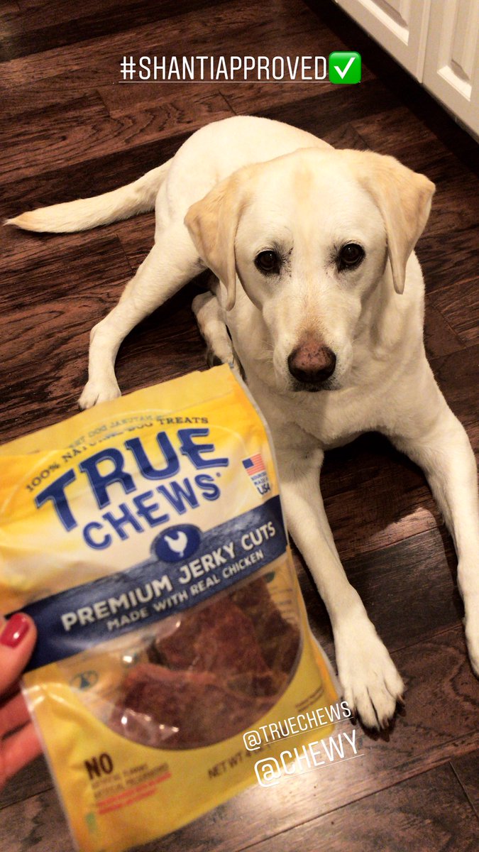 Another #shantiapproved treat. If she could talk, I think she’d say, “Can I have the whole bag of these jerky treats?” <a href="/TrueChewsUSA/">True Chews</a> (note: this item was sent free of charge from <a href="/Chewy/">Chewy</a> in exchange for Shanti’s honest review)
#ChewyInfluencer