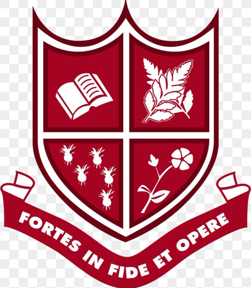 shemarjsteele's tweet image. Always number one, don’t get the figure wrong #redisstrong #hopefield #hoperoad #glecoupe #lasagne