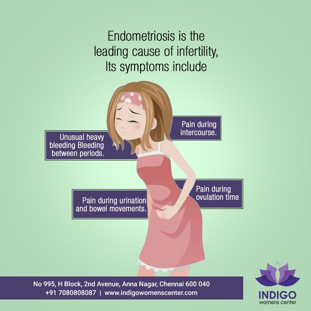 Indigowc's tweet photo. Symptoms of Endometriosis can be plenty but you can come to one hospital for this, INDIGO. Book an appointment today.
Visit Us: https://t.co/aBxoFpGU4P
#DrSaratBattina #DrSurakshithBattina ##IVF #IUI #ICSI #BeatInfertility #DefeatInfertility #Endometriosis #Periods #Pain https://t.co/979EvskREk