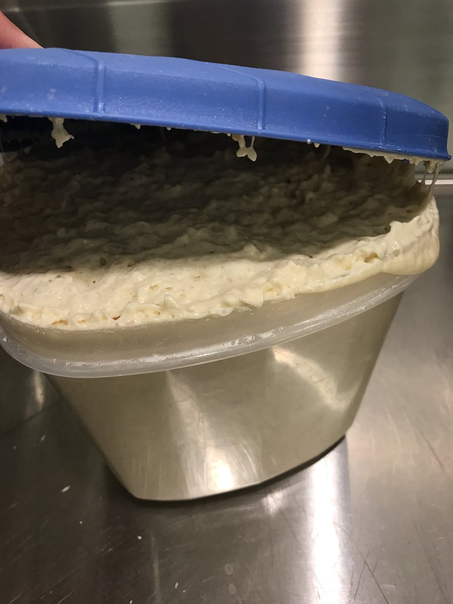 brutal_doodle's tweet image. “I wanna bulk my starter up” okay is this big enough? 😹 #pastryproblems