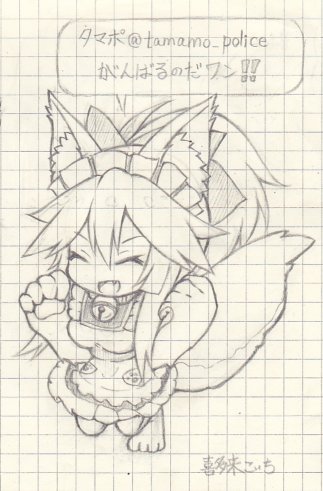 @tamamo_police 突然のリプライ失礼いたします。
普段話したいと思いつつ、なかなか機会を得られずにいました。
この春から社会人になられたようで、大変な状況だと思いますがせめてもの気持ちとしてタマモキャット描きました!お身体を大切に過ごしてください…! 