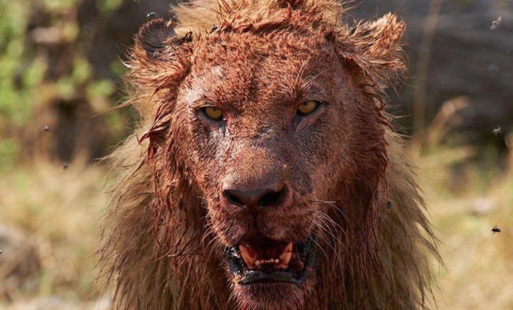 Coach Hines 🇺🇸 tweet media