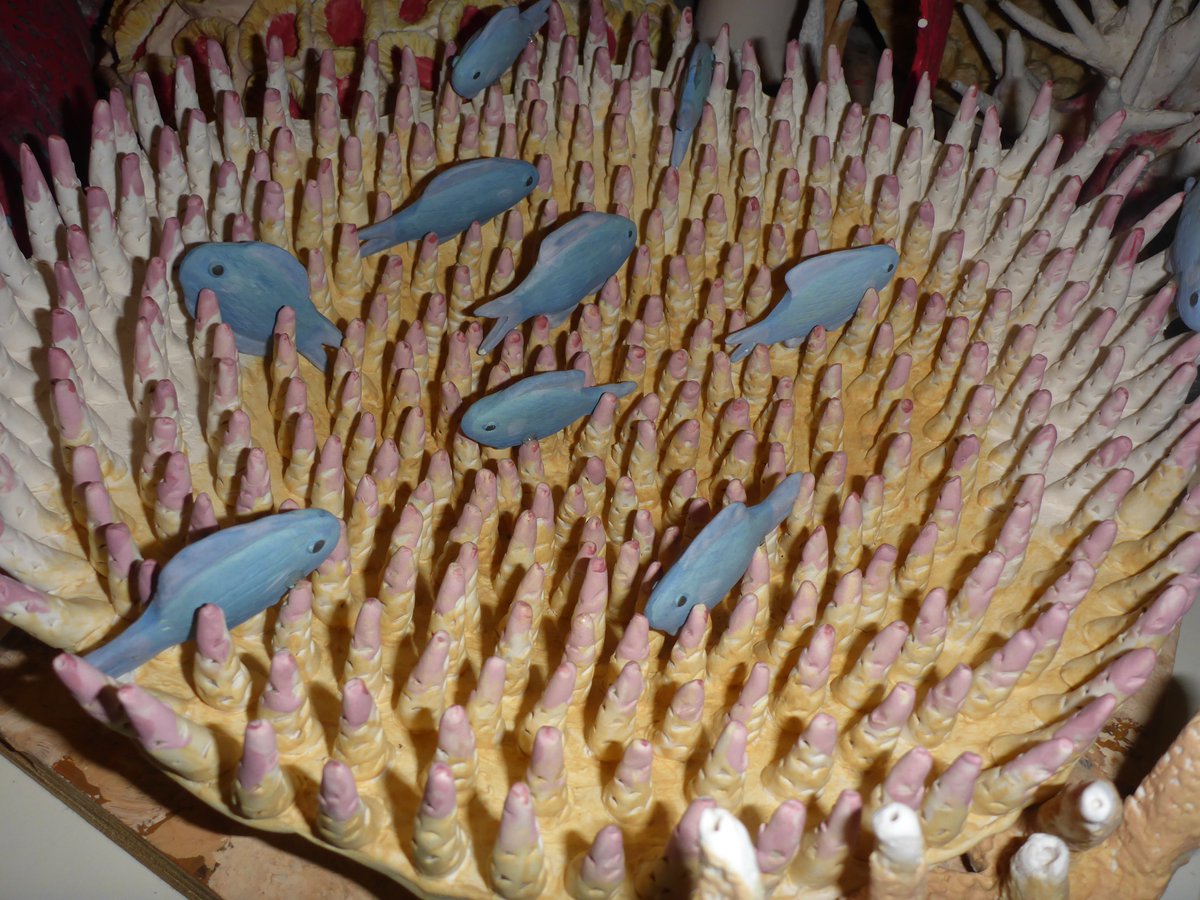 Coral_Watch's tweet image. Our MAY @IYOR-CoralWatch award will go to the most arty #reef project. Start creating now and send us your photos. info@coralwatch.org @EcoVisUQ @WeAreTeachers @reefcitsci @UQscience @QldBrainInst