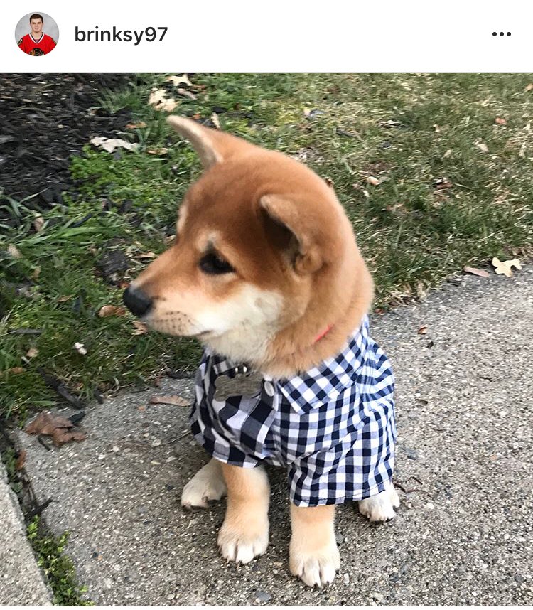 Shane Riordan on Twitter: