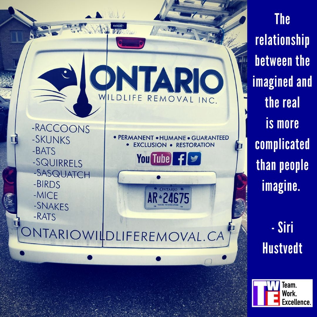 The relationship between the imagined and the real is more complicated than people imagine. Siri Hustvedt  A #quote I love with a great pic, kindly provided by Jared
 at buff.ly/2qmxOvk @ontwildlife  #motivational #Inspirational #Sweetleadership #Leadership #SiriHustvedt