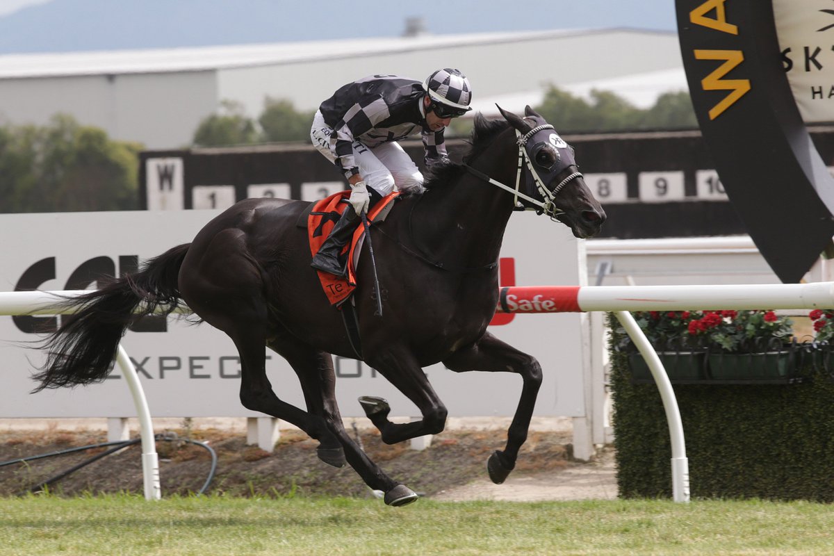 nzracingnews's tweet photo. Added incentive for connections of #FiveToMidnight to run in the Gr.1 Sydney Cup at @royalrandwick. https://t.co/H0YLru0JdY https://t.co/5z7HMqob5f
