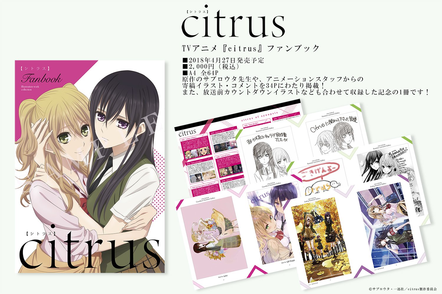 citrus シトラス クリアファイル サブロウタ 百合漫画 - クリアファイル