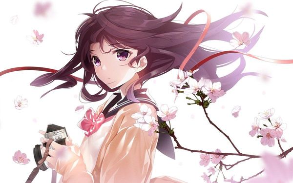 Tvhland On Twitter Fleur De Cerisier Sakura Dessin