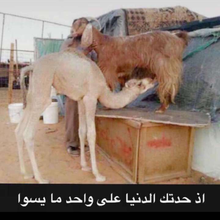 sssad66's tweet photo. https://t.co/1loeFChtOK