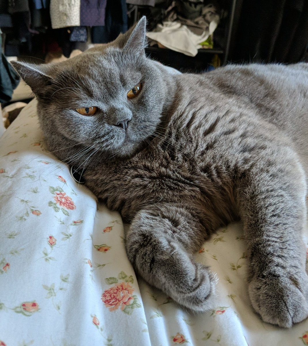 Hic Nealey 🎙️🥃 tweet media