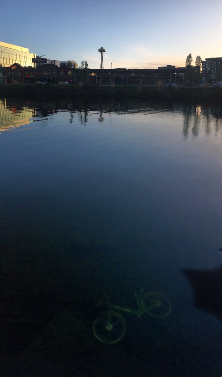 cemhamami's tweet photo. Spotted this @LimeBike in Lake Union Park @DocklessBike https://t.co/SSSEJq7Xis