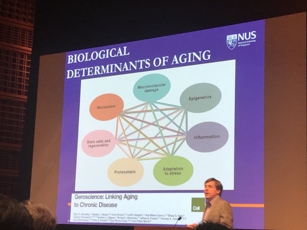 A network of biological determinants of aging
#meaningfulaging