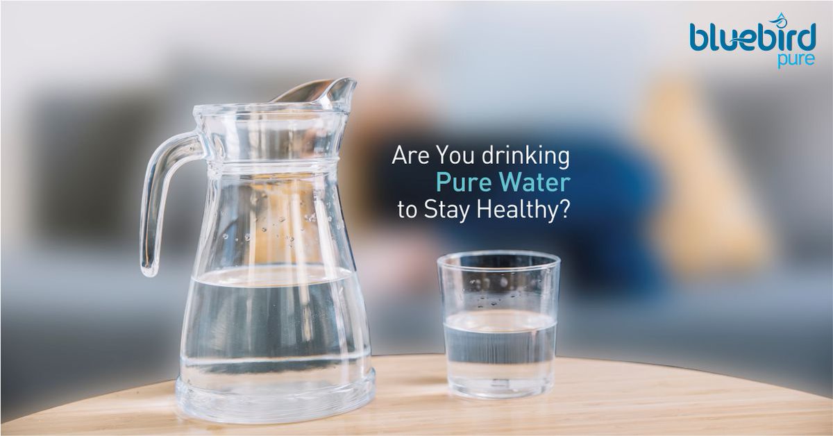 BluebirdPure's tweet image. Are You drinking Pure #Water to Stay #Healthy
#drinkpure #waterpurifier #rosystem #bluebirdpurifiers

goo.gl/bjAUTP