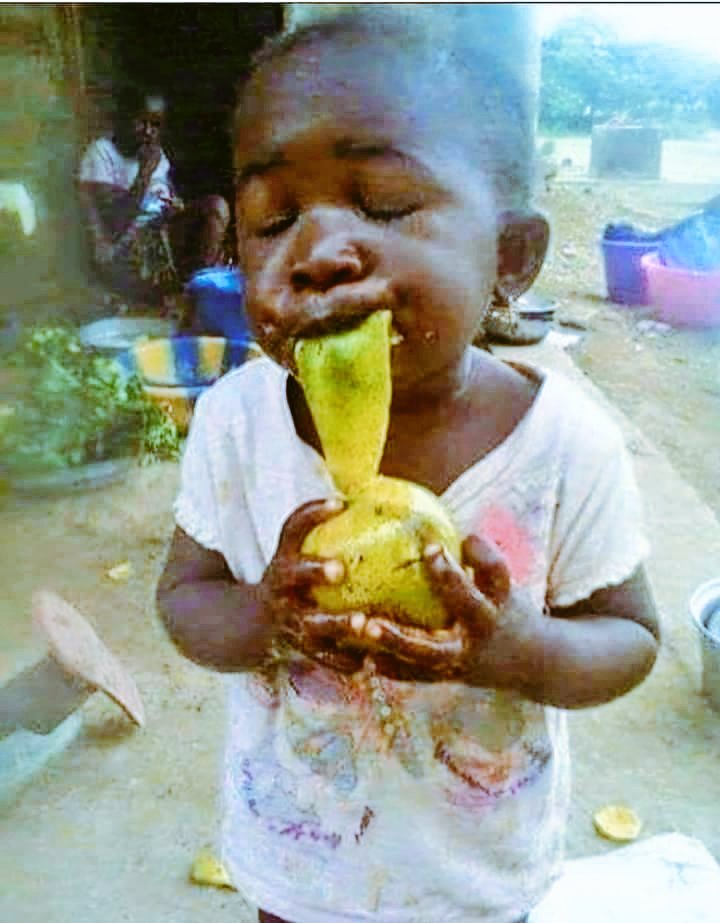 JosephMasembe1's tweet photo. And i keep telling people to plant fruit trees but theu don't take heed. Look at @BrianNakibinge lost in the joy of eating his mango. #GoGreenUg #ICCCC2018 https://t.co/9rCZIplJKc